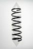 SPIDAN 49569 Coil Spring